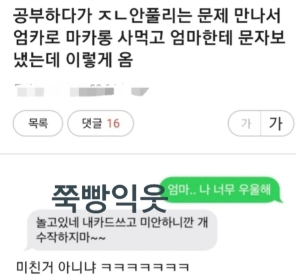 100 깍깍 채운 갤러리 털기 제발봐줘 짤 고르는데 1시간 47분 걸림 | 인스티즈