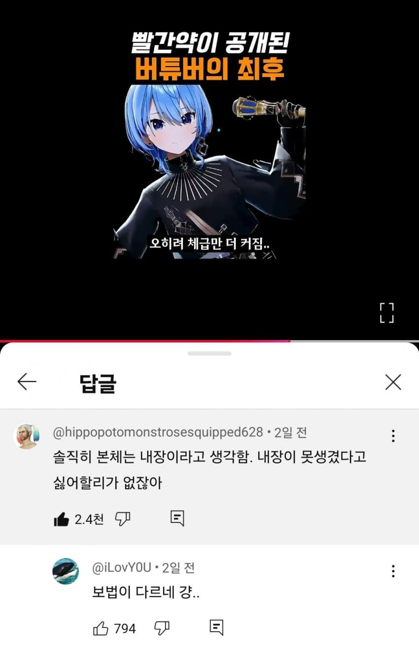 버튜버 본체 알아도 덕질 가능한 이유1