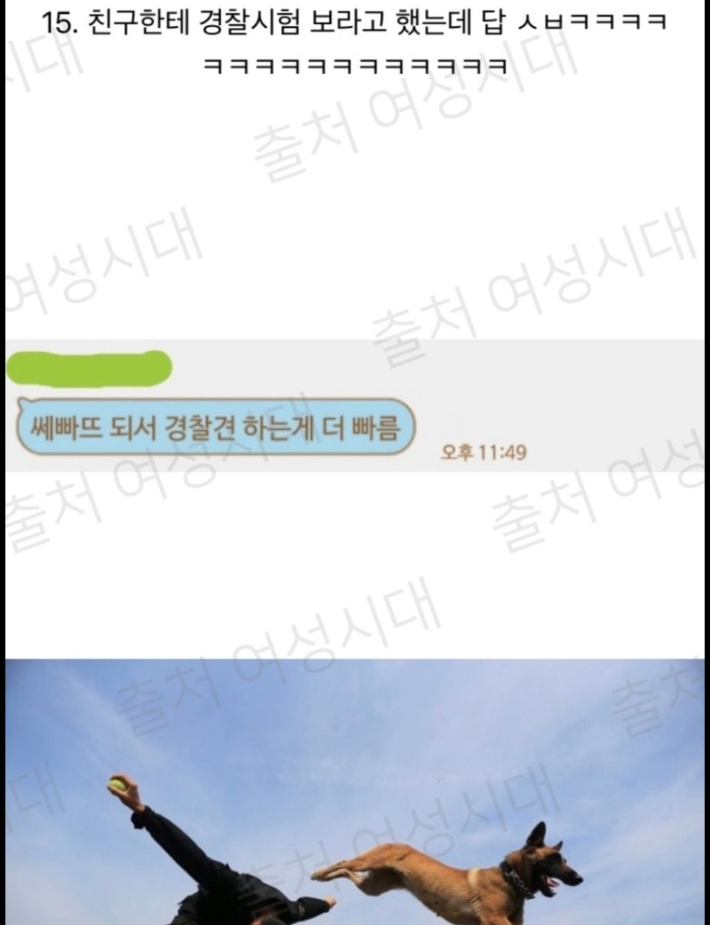 100 깍깍 채운 갤러리 털기 제발봐줘 짤 고르는데 1시간 47분 걸림 | 인스티즈