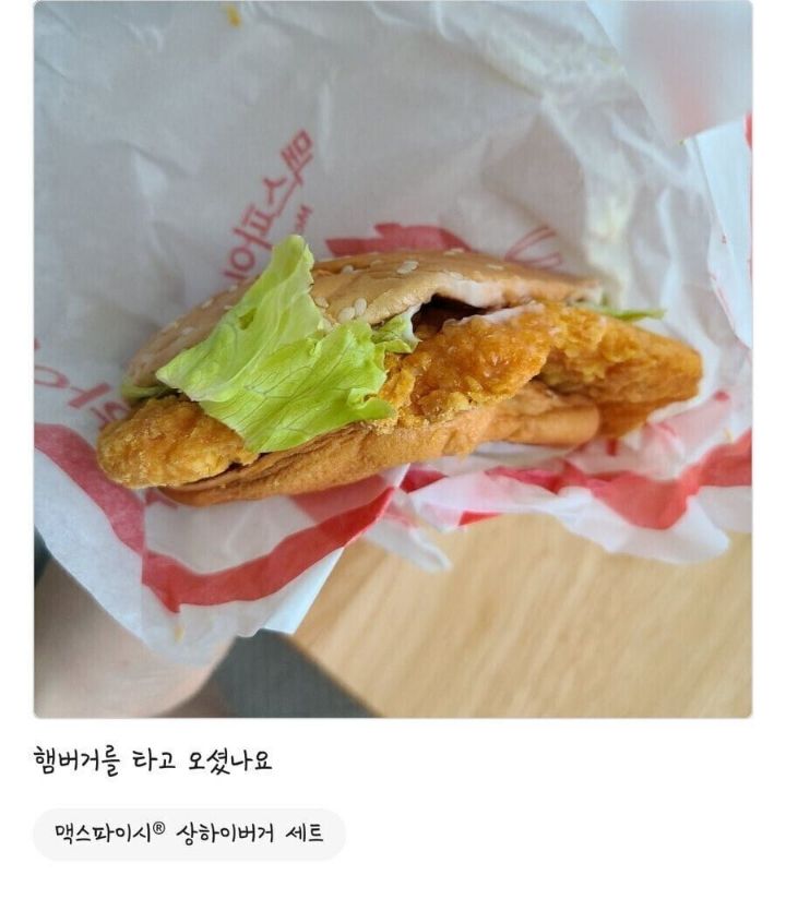 100 깍깍 채운 갤러리 털기 제발봐줘 짤 고르는데 1시간 47분 걸림 | 인스티즈