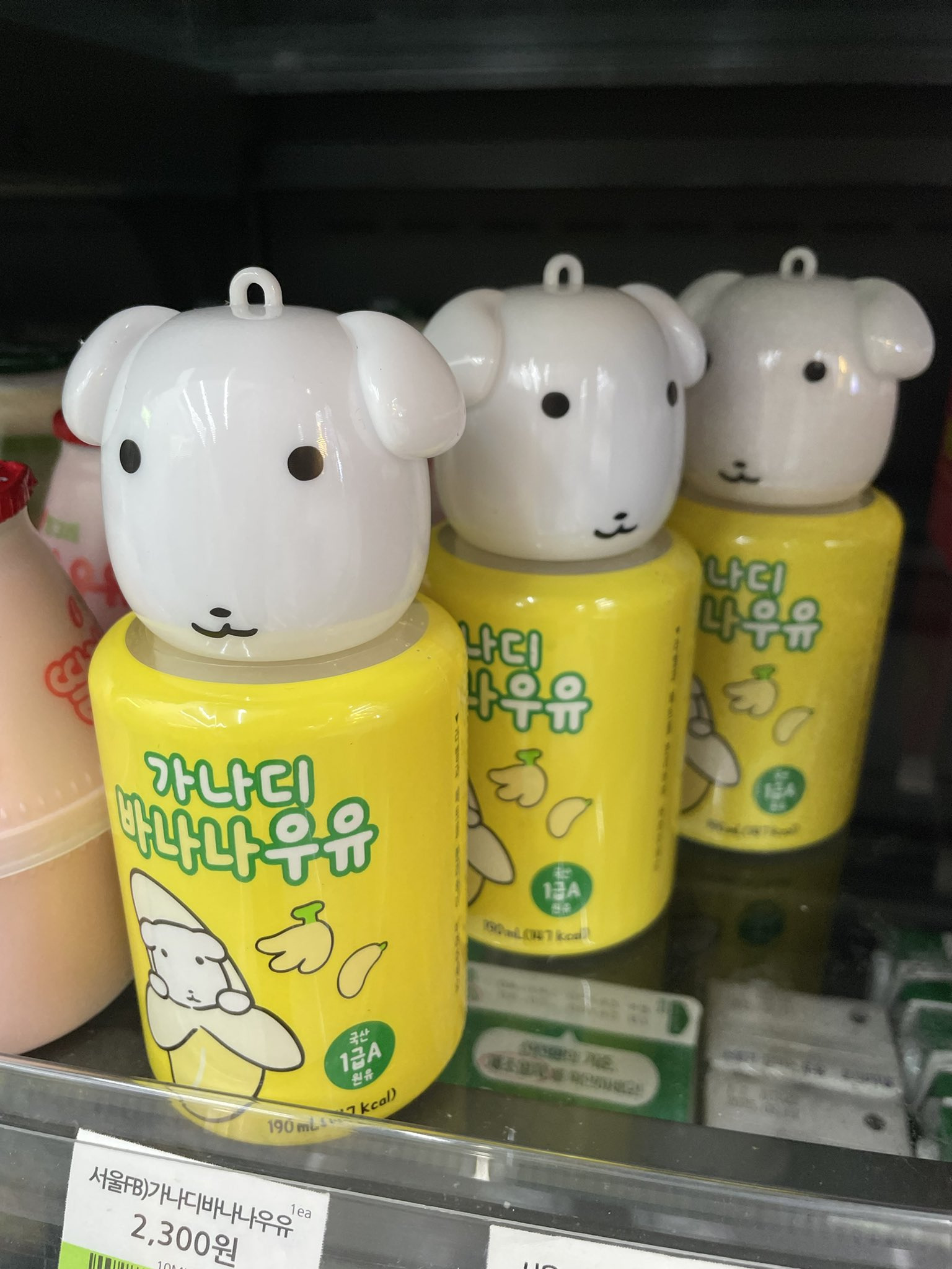 따끄들의 가나디 자랑 | 인스티즈