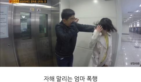 [PD수첩] 발달장애인의 엄마로 산다는 것 | 인스티즈
