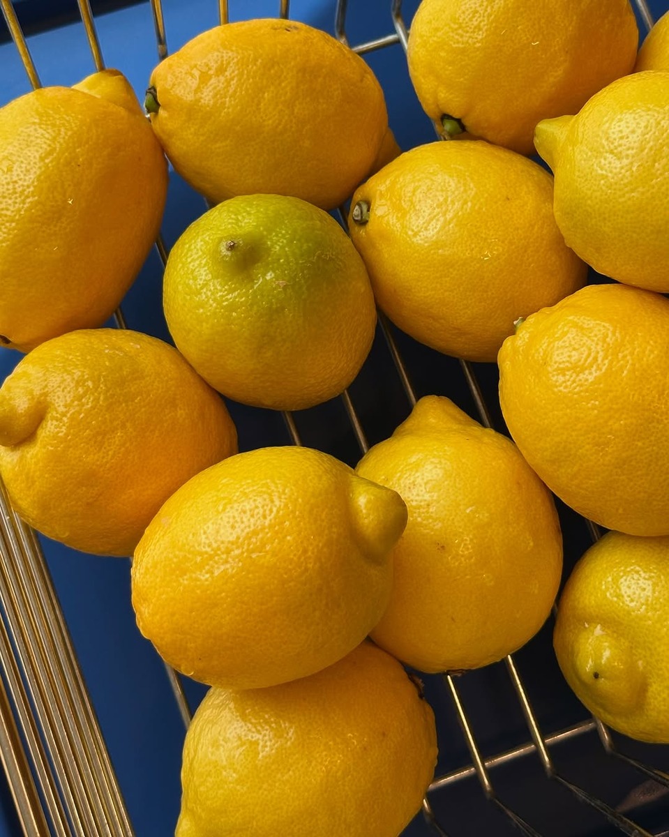  무더위를 날려줄 서울 레몬 🍋 요리 맛집 5