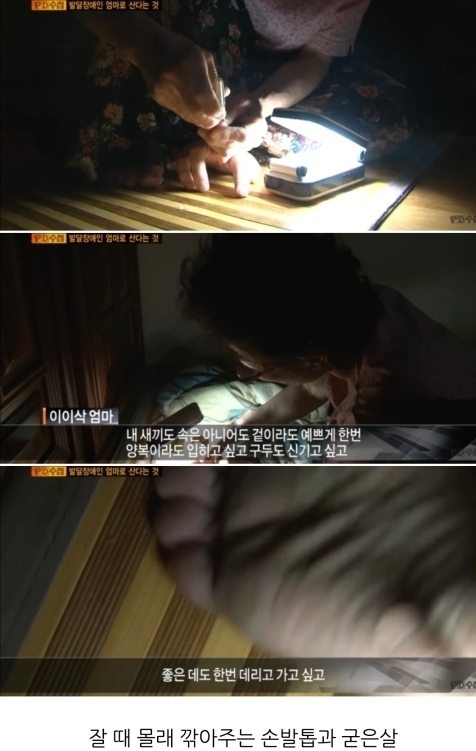 [PD수첩] 발달장애인의 엄마로 산다는 것 | 인스티즈
