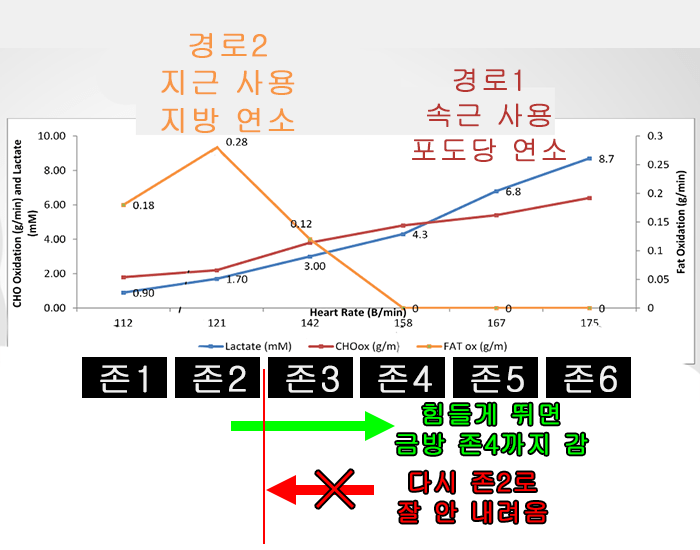 중2도 이해하는 유산소 강도 비율 | 인스티즈