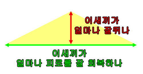 중2도 이해하는 유산소 강도 비율 | 인스티즈