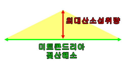 중2도 이해하는 유산소 강도 비율 | 인스티즈
