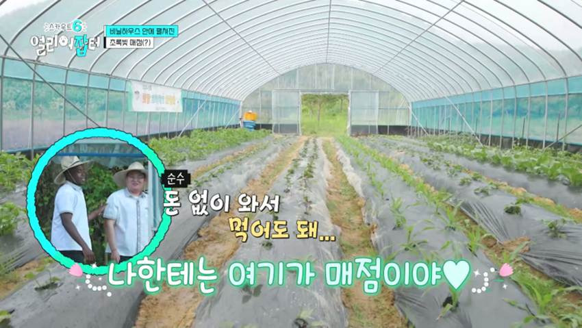 고령화 마을 + 산불 피해 지역으로 봉사 활동을 간다는 경남 한 고등학교 | 인스티즈