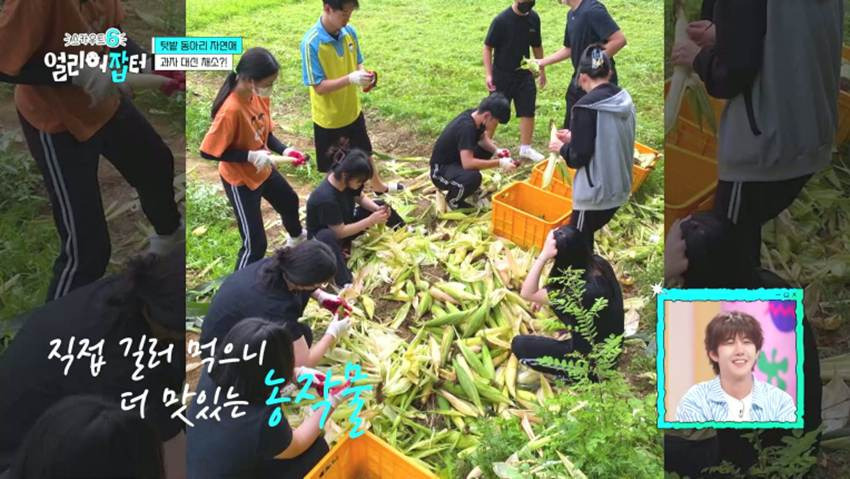 고령화 마을 + 산불 피해 지역으로 봉사 활동을 간다는 경남 한 고등학교 | 인스티즈