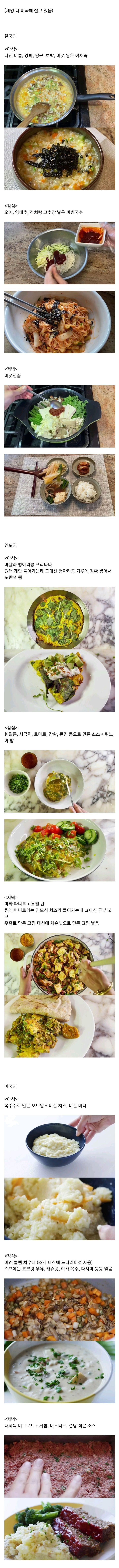  한국인,인도인,미국인 비건들의 하루식사.jpg