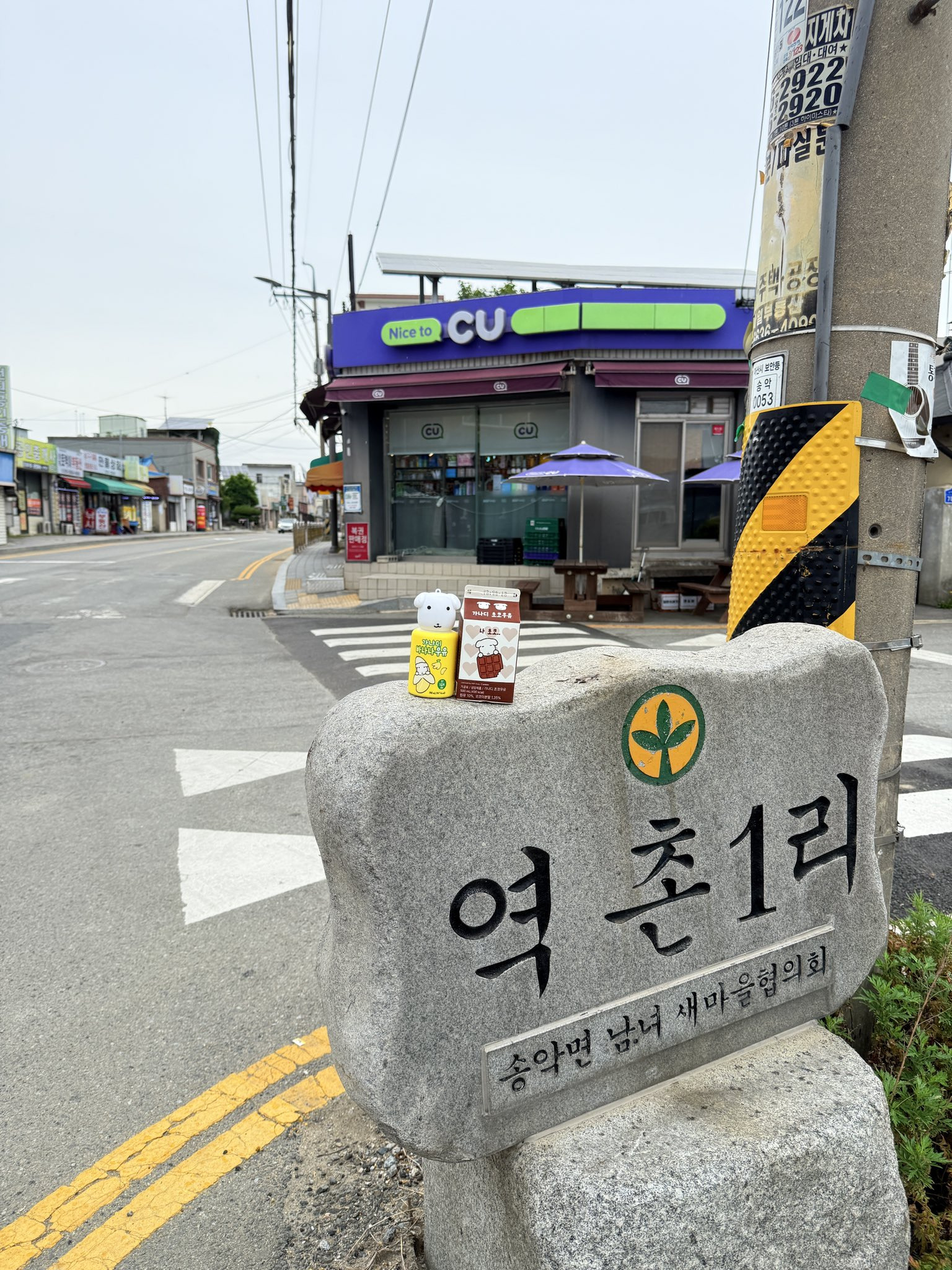 가나디 우유를 갖고 싶은데 시내는 다 품절이라 시골 CU에 가서 사오니 시고르 가나디.x | 인스티즈