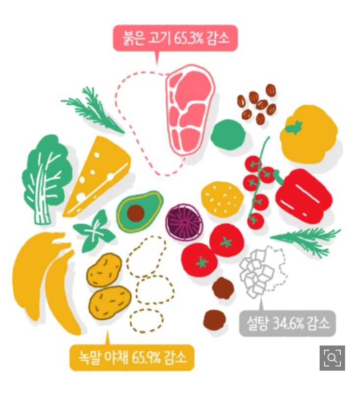 내가 채식을 한다면 지구는 어떻게 바뀔까? | 인스티즈