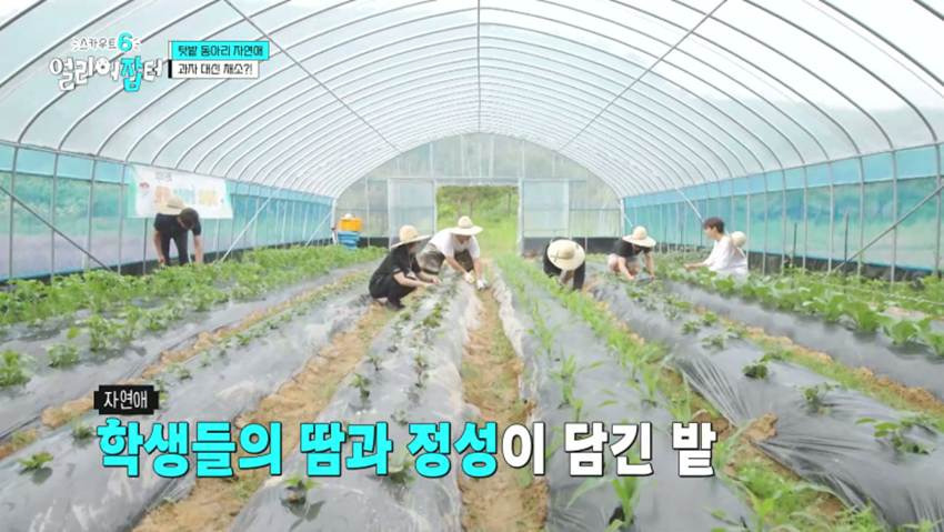 고령화 마을 + 산불 피해 지역으로 봉사 활동을 간다는 경남 한 고등학교 | 인스티즈