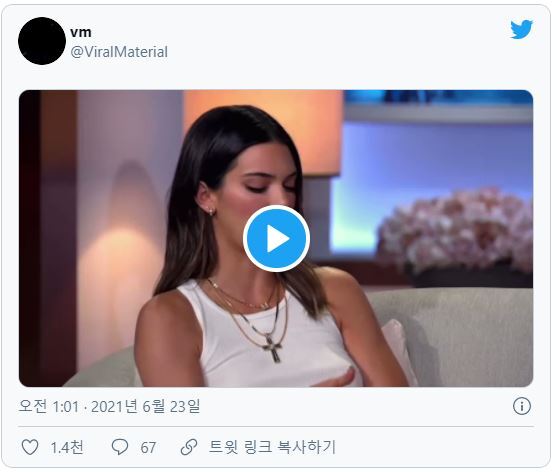  집안 때문에 성공한게 아니라는 켄달제너 인터뷰