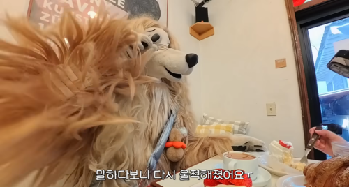 이별 브이로그 아니고 파양 브이로그 | 인스티즈