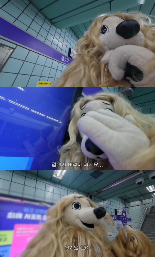이별 브이로그 아니고 파양 브이로그 | 인스티즈