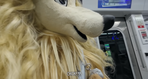 이별 브이로그 아니고 파양 브이로그 | 인스티즈