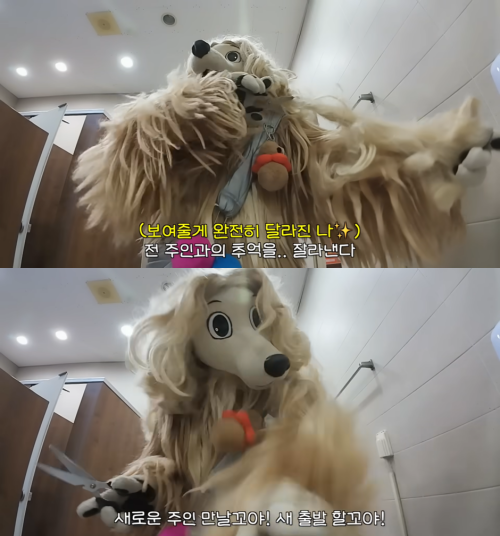 이별 브이로그 아니고 파양 브이로그 | 인스티즈