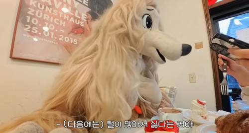 이별 브이로그 아니고 파양 브이로그 | 인스티즈