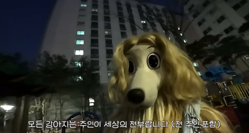 이별 브이로그 아니고 파양 브이로그 | 인스티즈