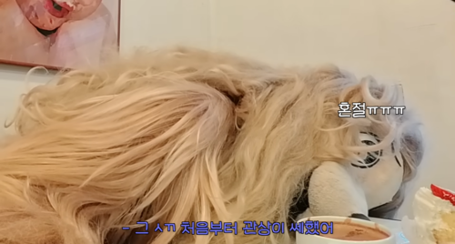 이별 브이로그 아니고 파양 브이로그 | 인스티즈