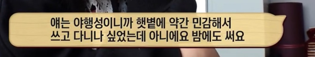 따봉고슴도치 휴지심 좋아도치 | 인스티즈