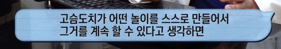 따봉고슴도치 휴지심 좋아도치 2 | 인스티즈