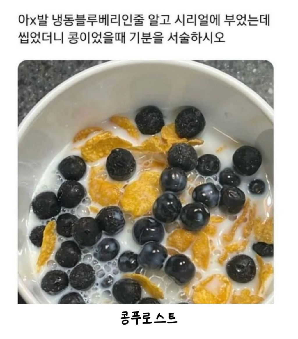  냉동블루베리인줄 알고 시리얼에 부었는데7