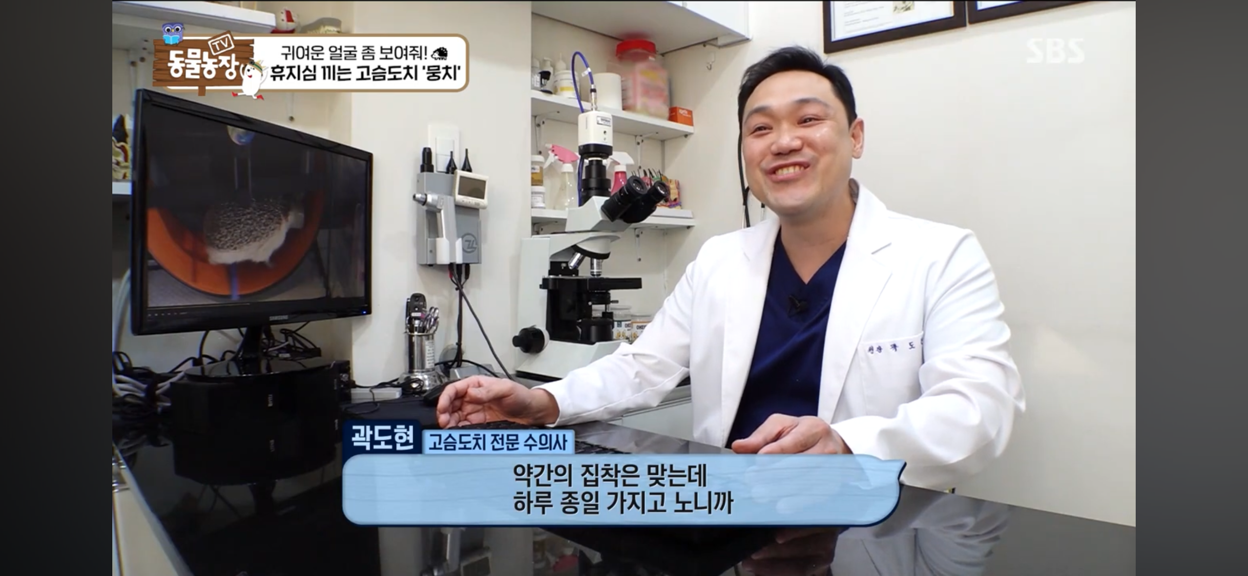 따봉고슴도치 휴지심 좋아도치 2 | 인스티즈