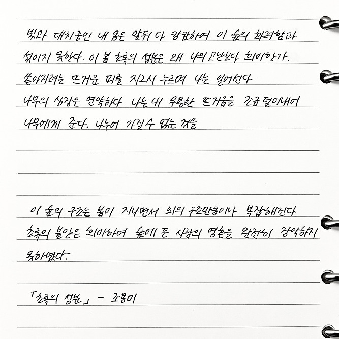 지나간 봄을 그리워하며 - 독서달글 필사 컨텐츠 | 인스티즈