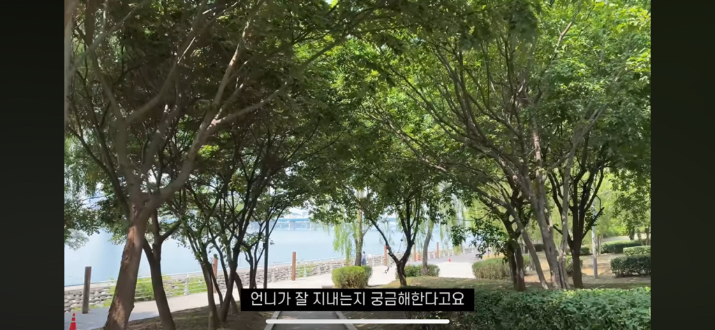 비행기에서 우연히 만났던 이효리에게 페스티벌 초대받아 다녀온 유튜버 | 인스티즈
