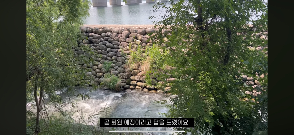비행기에서 우연히 만났던 이효리에게 페스티벌 초대받아 다녀온 유튜버 | 인스티즈