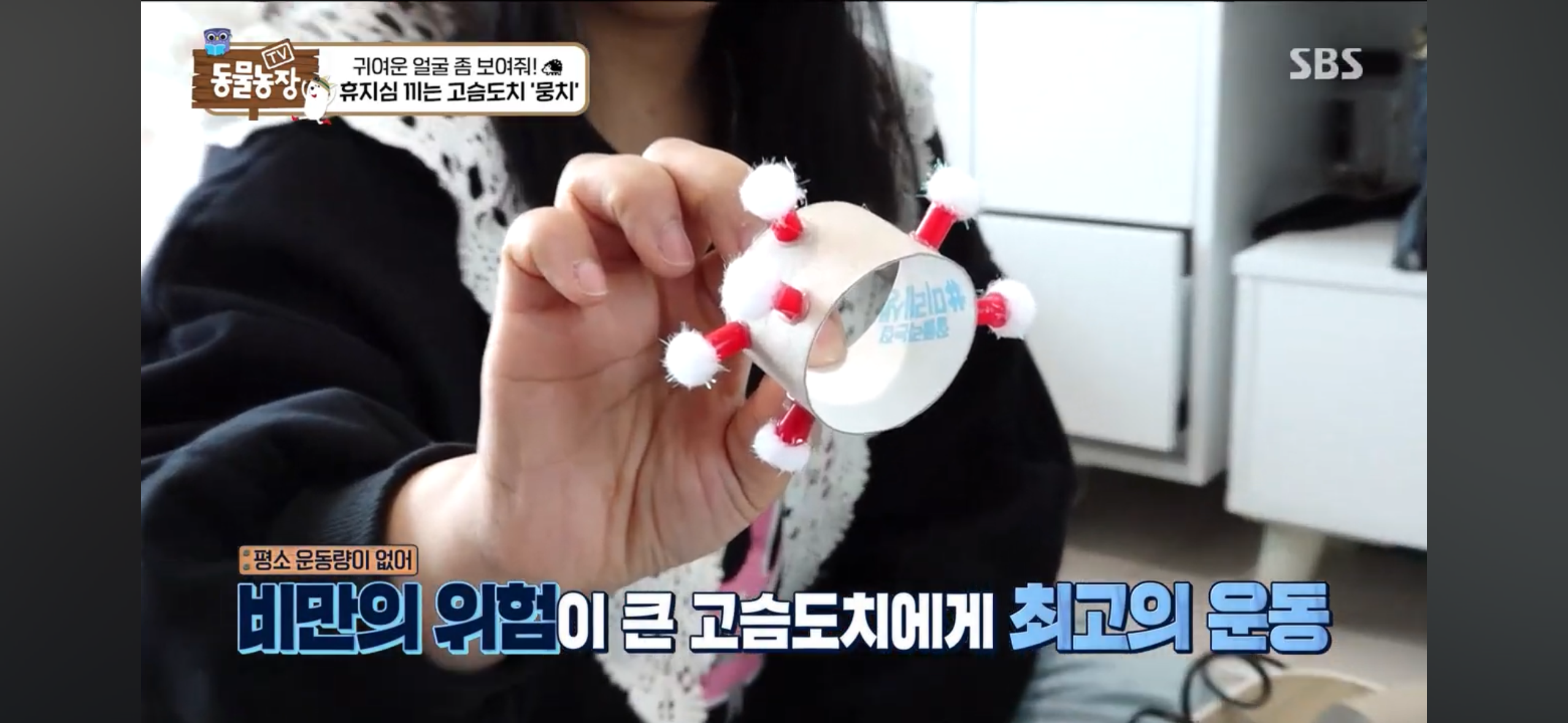 따봉고슴도치 휴지심 좋아도치 2 | 인스티즈