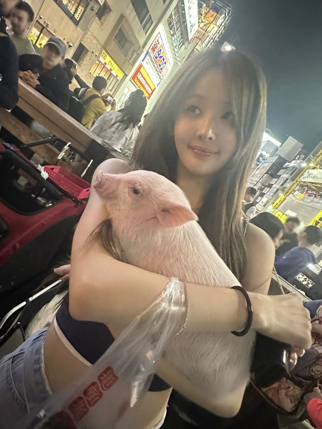 오사카에서 아기돼지 만난 키오프 벨