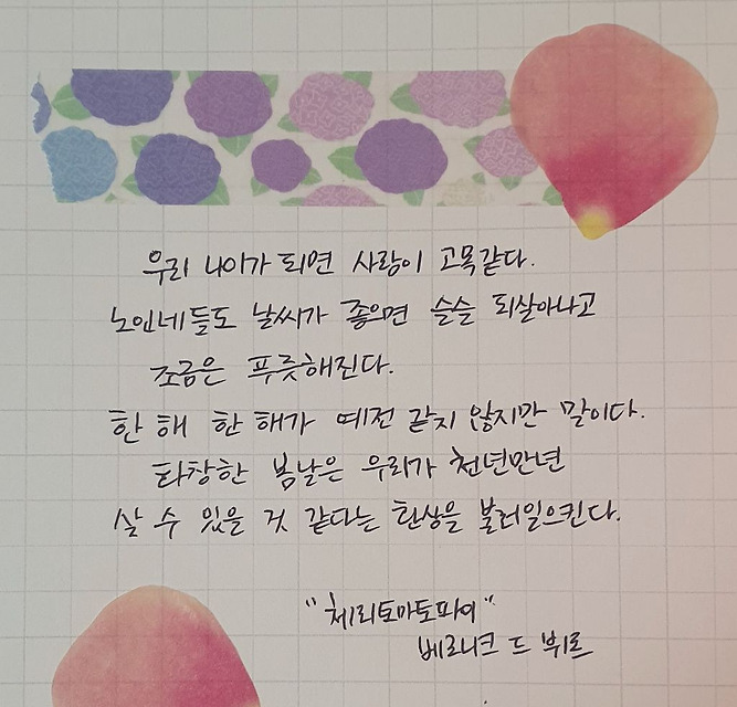 지나간 봄을 그리워하며 - 독서달글 필사 컨텐츠 | 인스티즈