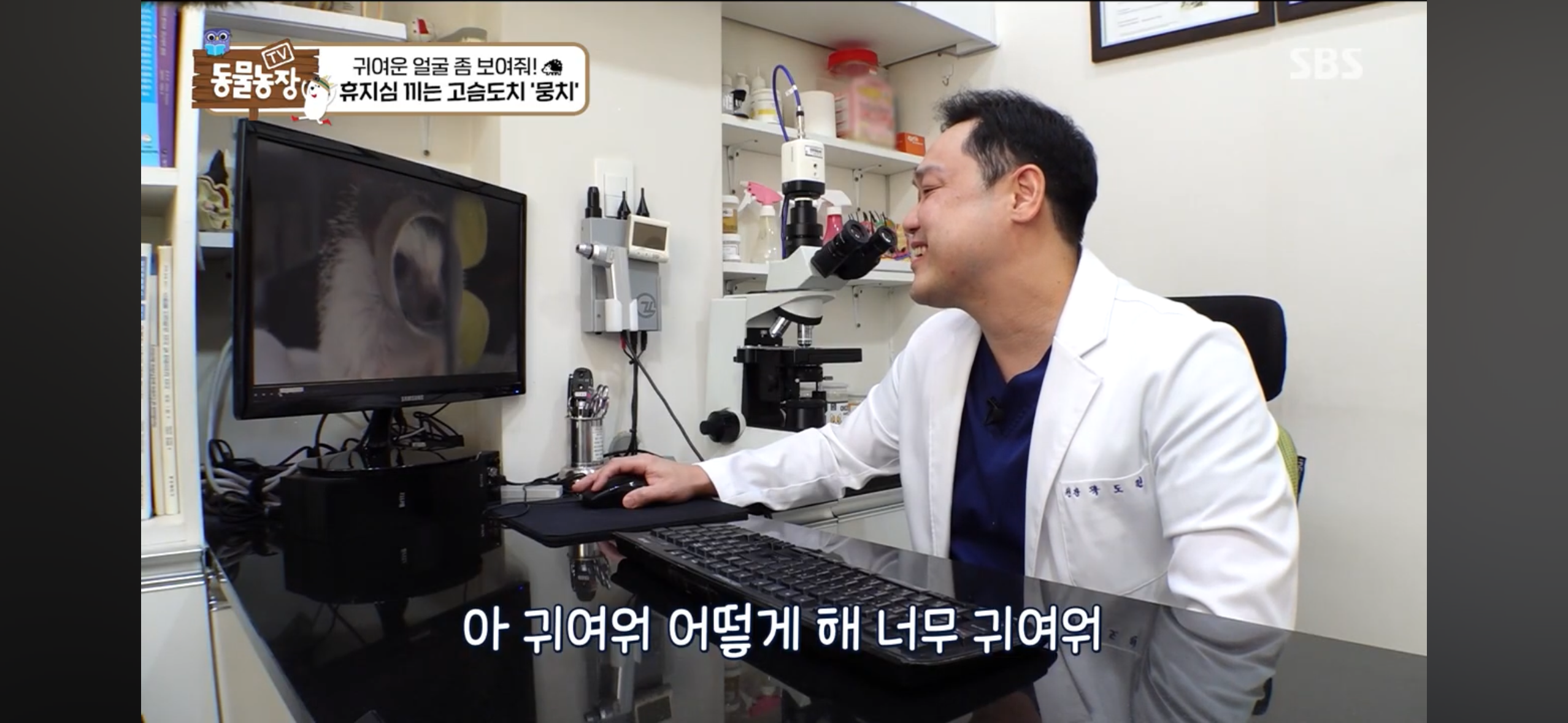 따봉고슴도치 휴지심 좋아도치 2 | 인스티즈