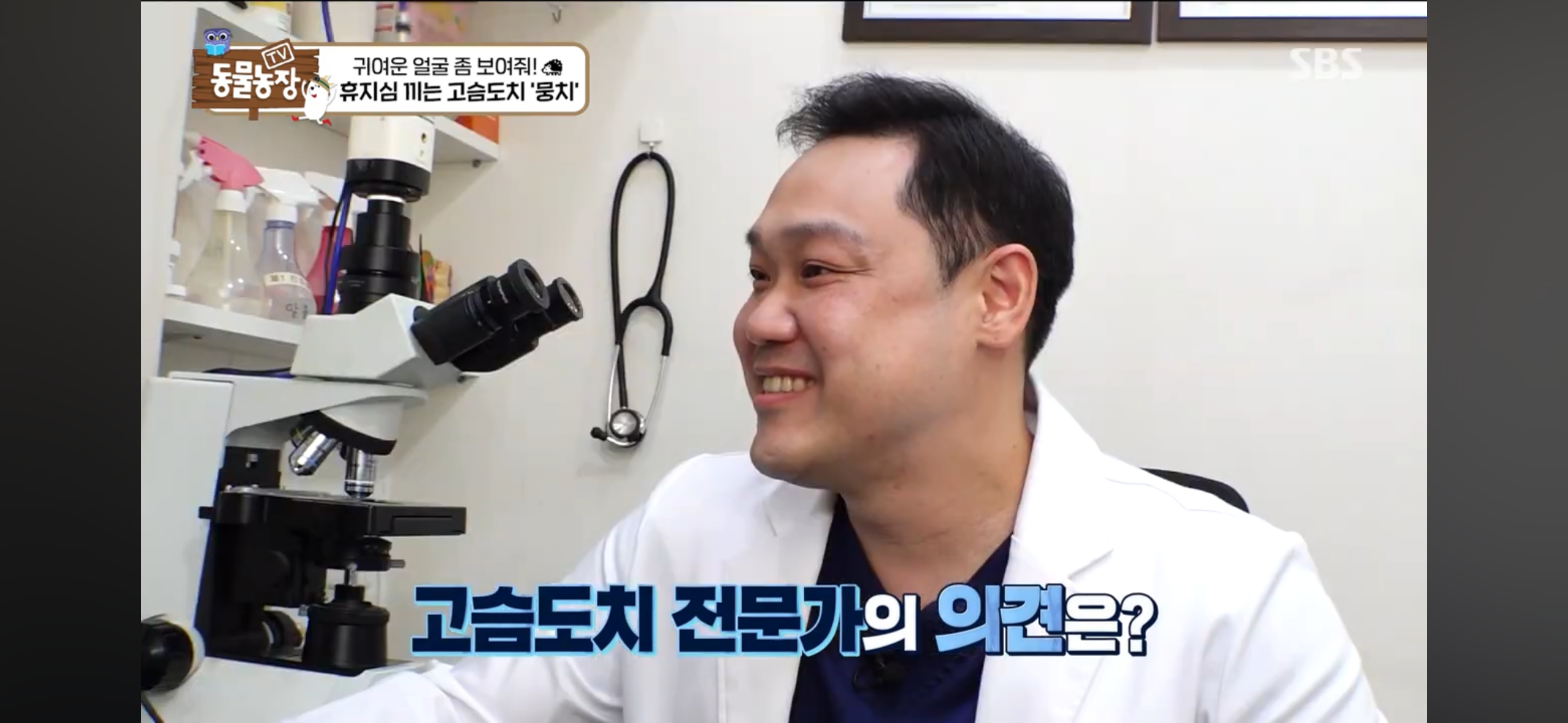 따봉고슴도치 휴지심 좋아도치 2 | 인스티즈
