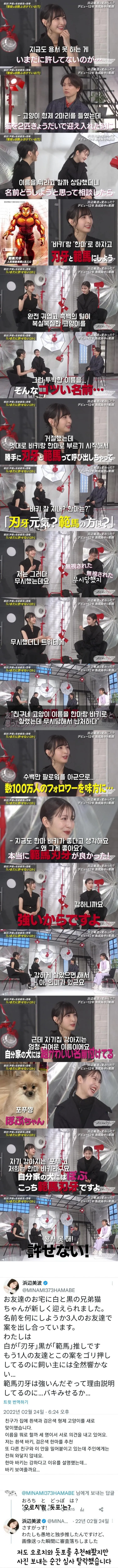  친구 고양이를 한마 바키라고 부르는 일본 여배우