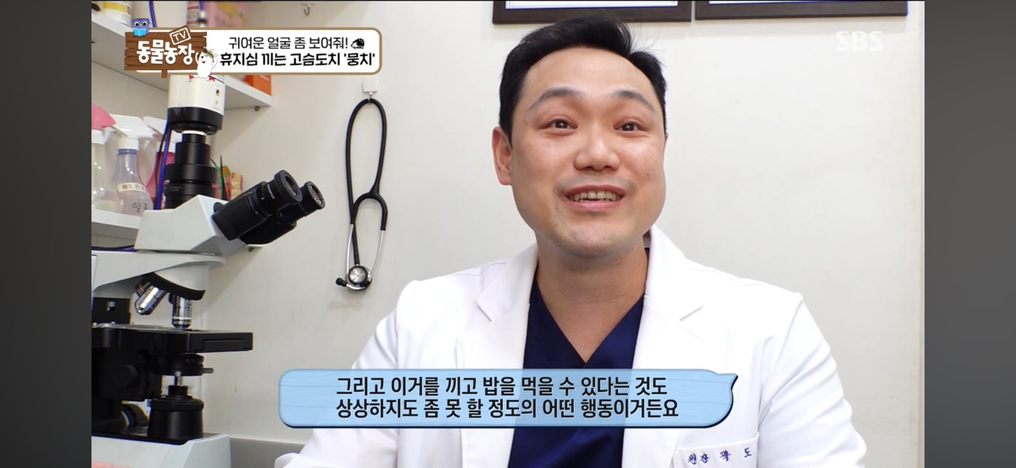따봉고슴도치 휴지심 좋아도치 2 | 인스티즈