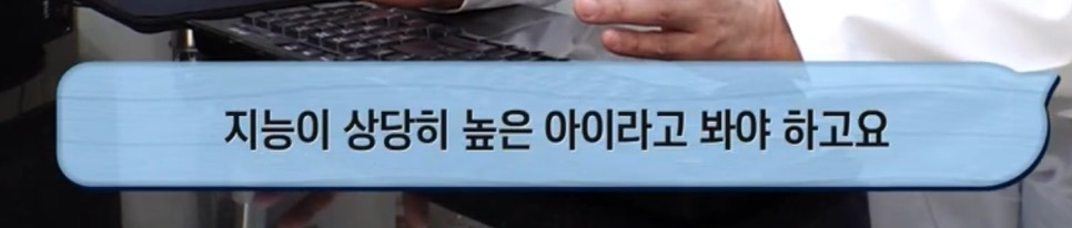따봉고슴도치 휴지심 좋아도치 2 | 인스티즈