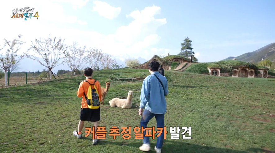3년만에 알파카랑 사진 찍기 소원 이룬 기안84 | 인스티즈