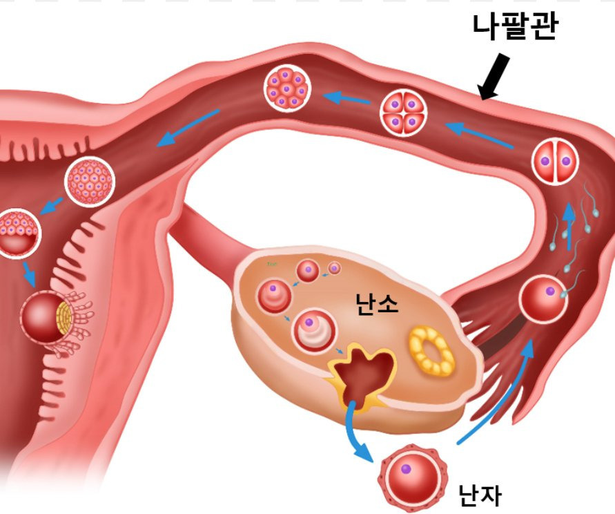 자궁 깊숙히 박히는 노래.jpg | 인스티즈