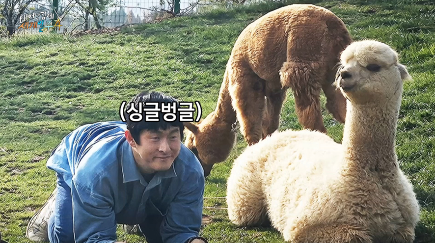 3년만에 알파카랑 사진 찍기 소원 이룬 기안84 | 인스티즈