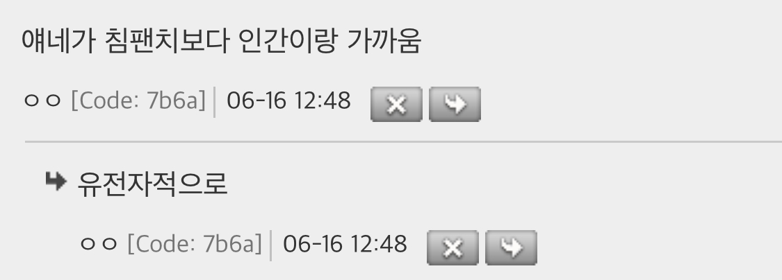 보노보가 동물원에 없는 이유 | 인스티즈