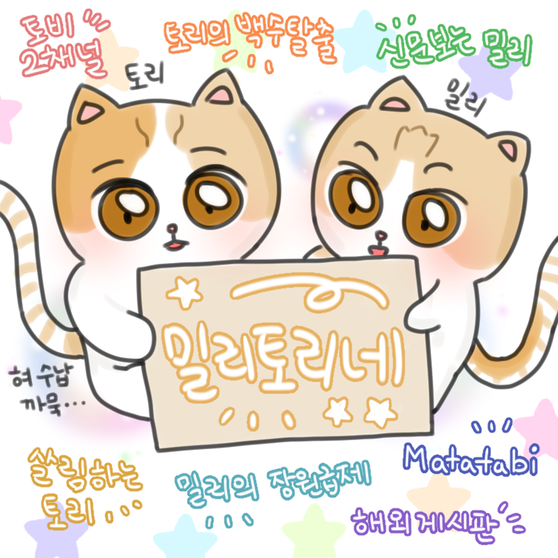  심심한 눈아들 와봐 서민정 눈아 썰들 정말 웃김 (긺)