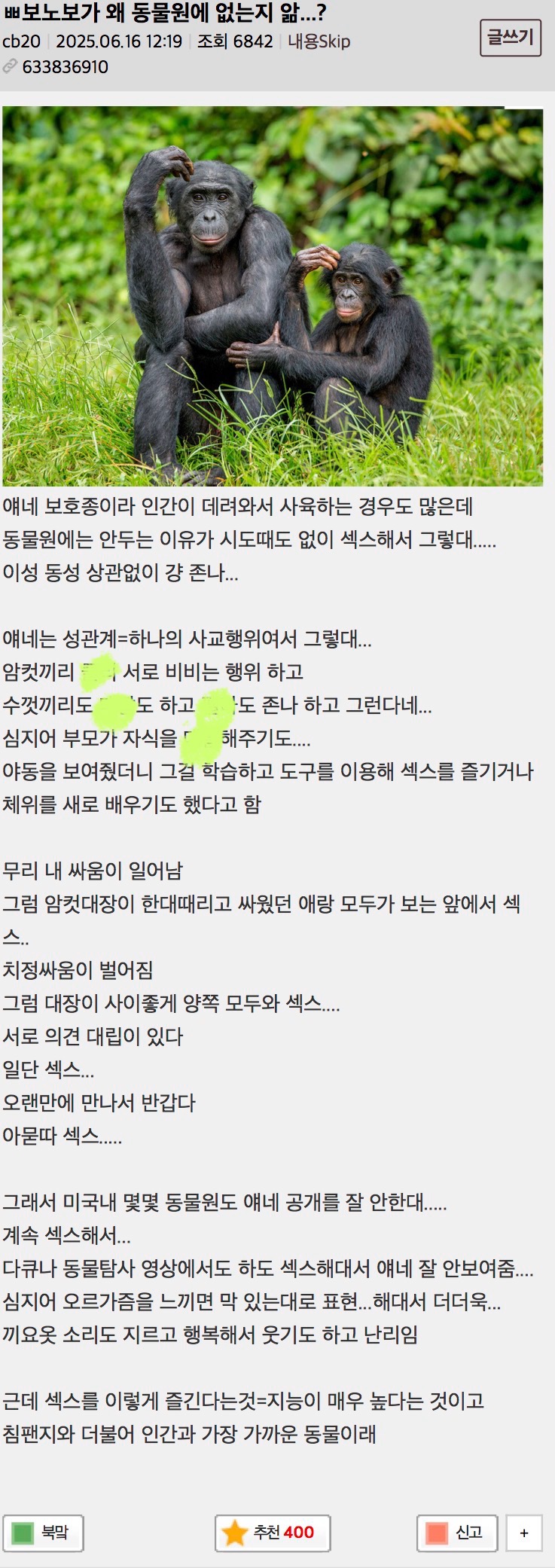  보노보가 동물원에 없는 이유
