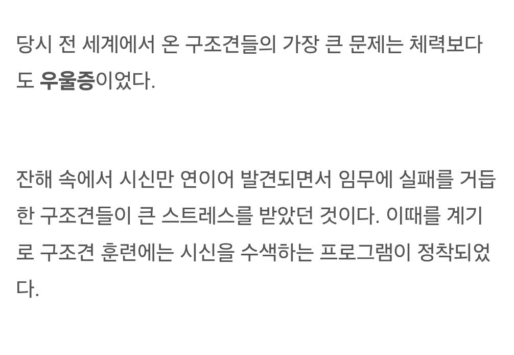  구조견 멍멍이들이 생존자 계속 발견 못하면 우울증 온다고...1