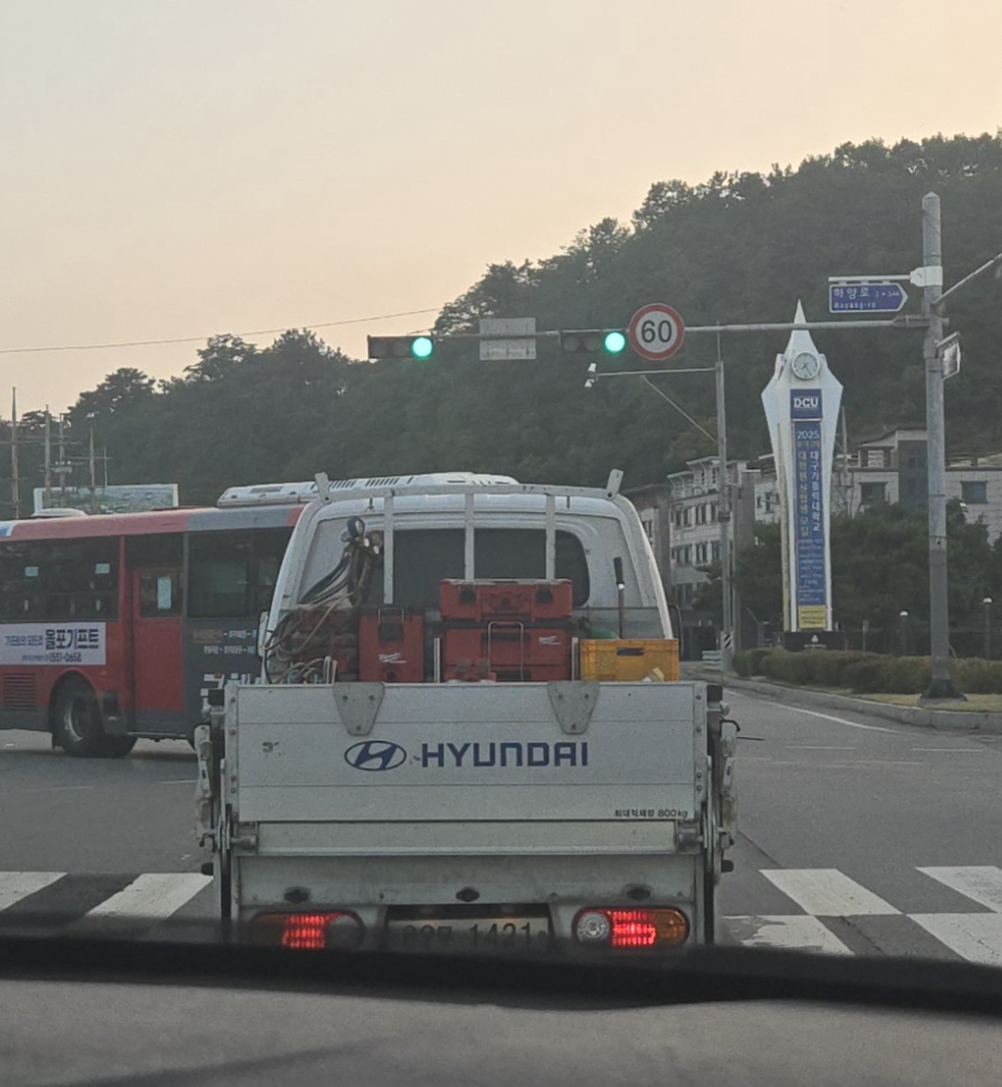  트럭에 가나디 2마리 봤어!!