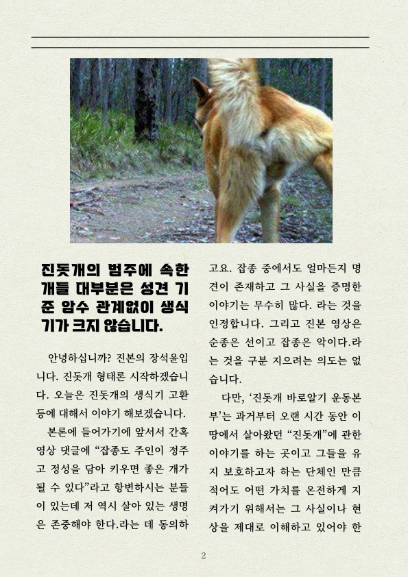 진돗개 는 먼가 다릅니다! | 인스티즈