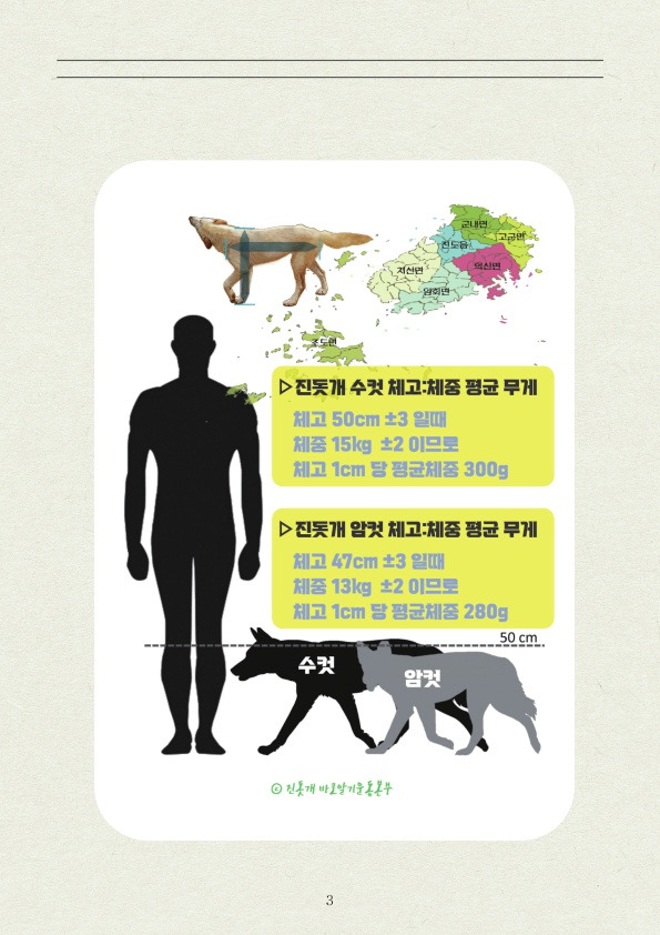 진돗개 는 먼가 다릅니다! | 인스티즈